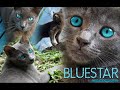 Bluestar: One of the Greatest Leaders Of Thunderclan