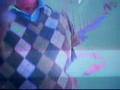 videos de 
