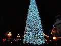 Christmas tree..  at  Disneyland by rigo taleno.