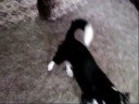 LG kf750 secret video test