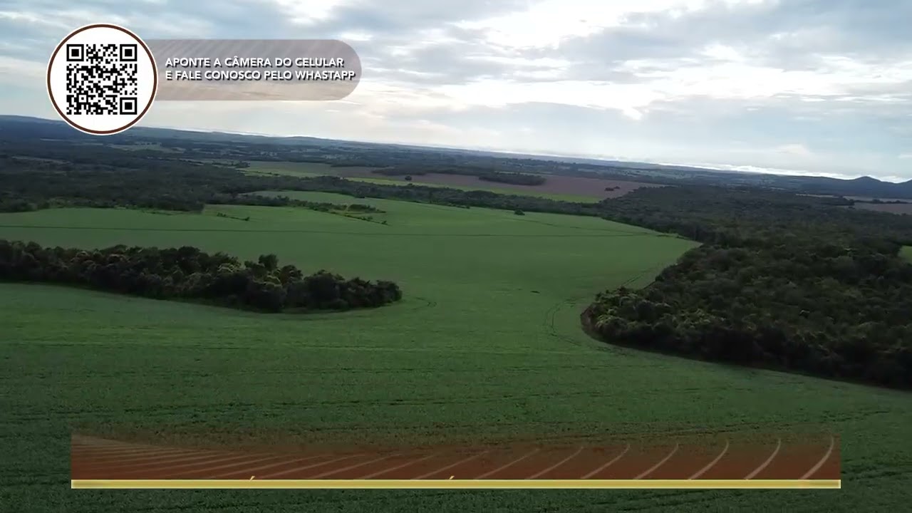 🌾 Terralmo 32: Fazenda à venda em Jaraguari/MS