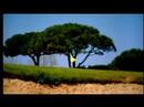 51 - Quinta Da Marinha
