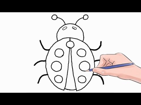 video-linktoworks-How to Draw a Ladybug Easy Step by Step