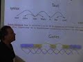 Learning to Analyze Sequences