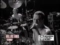 Rollins Band