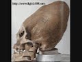 Return of the Giants!-part 2