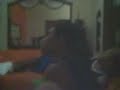 Simplesmente IRADOO !! Simplesmente IRADOO !!