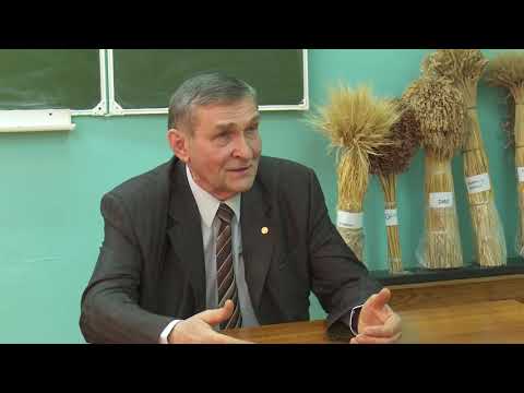 Профессор, д.с-х.н. Николай Зеленский рассказал о подзимнем посеве в эфире ТК "Дон24
