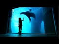 Real Adventure.mov