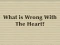 Fetal Echocardiography Case Presentation Fetal Echocardiography Case Presentation