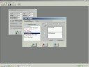 Printing Reports