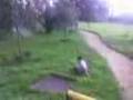 videos de parkour juanfernando.wmv
