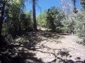 United Adobo Hit Big Bear - 