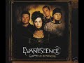 Evanscene - wake me up inside remix new