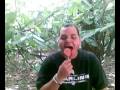 videos de Juancho.mp4