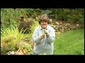 Great Gardens - Making new geraniums