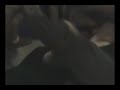 Murder Junkies Attak Fan