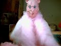 Introducing Miss Pink Piggie