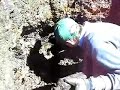 Digging up some stoneware
