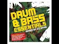 pendulum- tarantula(dj hype mix)