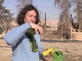 Kibbutz Lotan: Green Apprenticeship Part 2