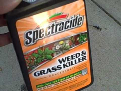 how to aerate and fertilize a lawn
