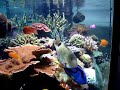 acqua1...  si mangia....!!!