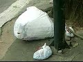 belo-horizonte-probe-as-sacolas-plsticas-convencionais.html