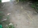 A Big Bottler Rocket Shot at Store