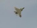 F-4E Phantom by 6mmflyrc (Part II)