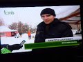 Марафон на упряжках собак
