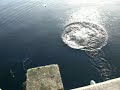 Catching Lobsters with a \"Hoop\"