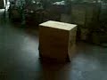 the real solid snake! the real solid snake!