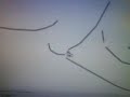 Line Rider fachion teck Line Rider fachion teck