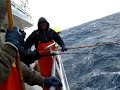 Tuna fishing Tuna fishing