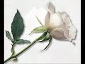 BARAN YILDIZ  -  ADI GUL OLSUN BU SEVDANIN.wmv