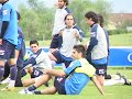 D. ALAVES