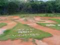 Dust Raising - Pista de Modelismo