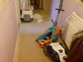 nermal going mental and looking for an ambush victim nermal going mental and looking for an ambush victim