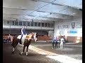 Hohenhameln 3 Pflicht Hohenhameln 3 Pflicht