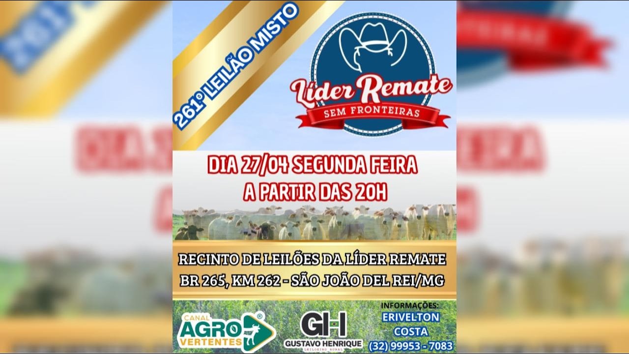 261º LEILÃO MISTO LÍDER REMATE - SÃO JOÃO DEL REI/MG - 27/04/2026