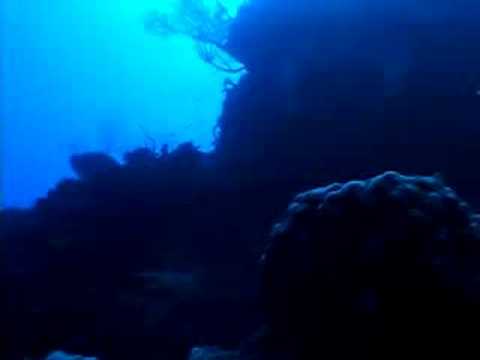 Cayman Islands Twilight Zone 2007: ...
