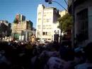 Camaleão 2008 Camaleão 2008