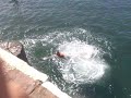 Backflips by Fawcette and Chavolla