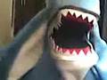 videos de Anchovitos_