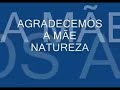 mensagens do povo da floresta   centro medicina da floresta