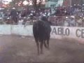 EL TORO SUABESITO