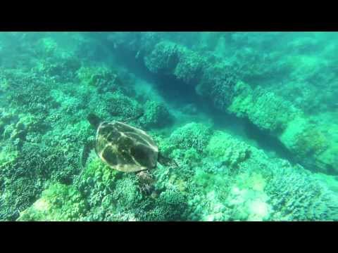 how to decide which hawaiian island to visit