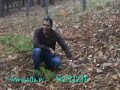 I Funghi della Sila
