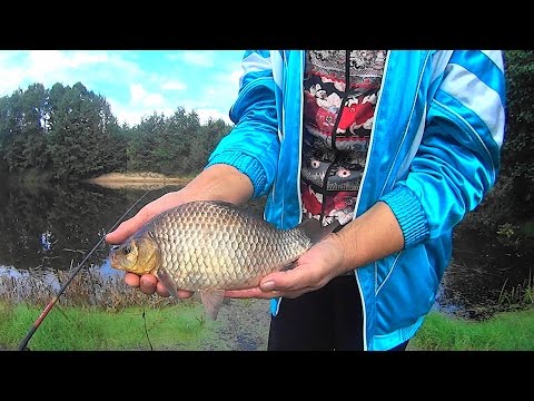просто клева видео просто клева видео